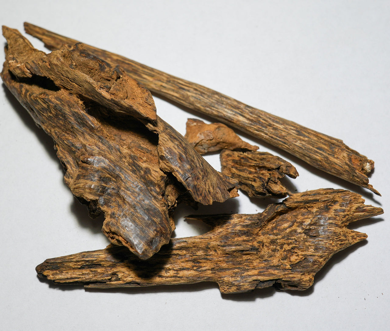 Oud Woods
