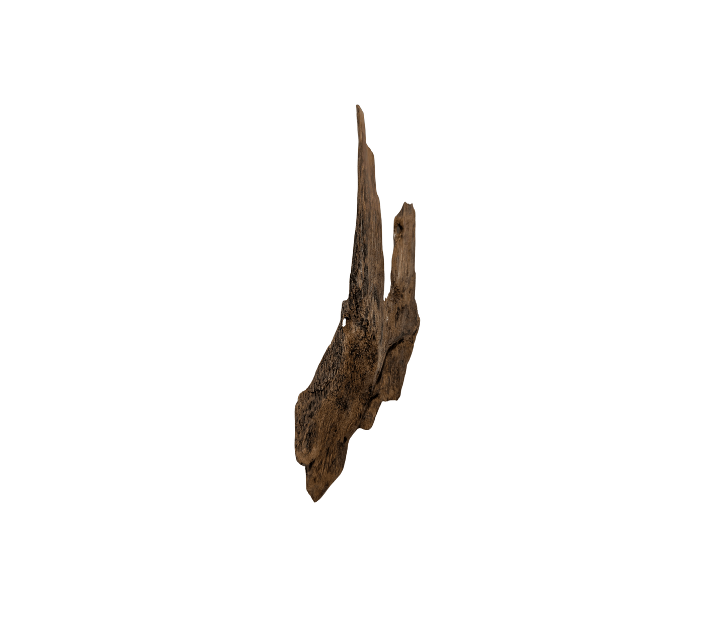 Sinking Terangganu pieces - Vintage
