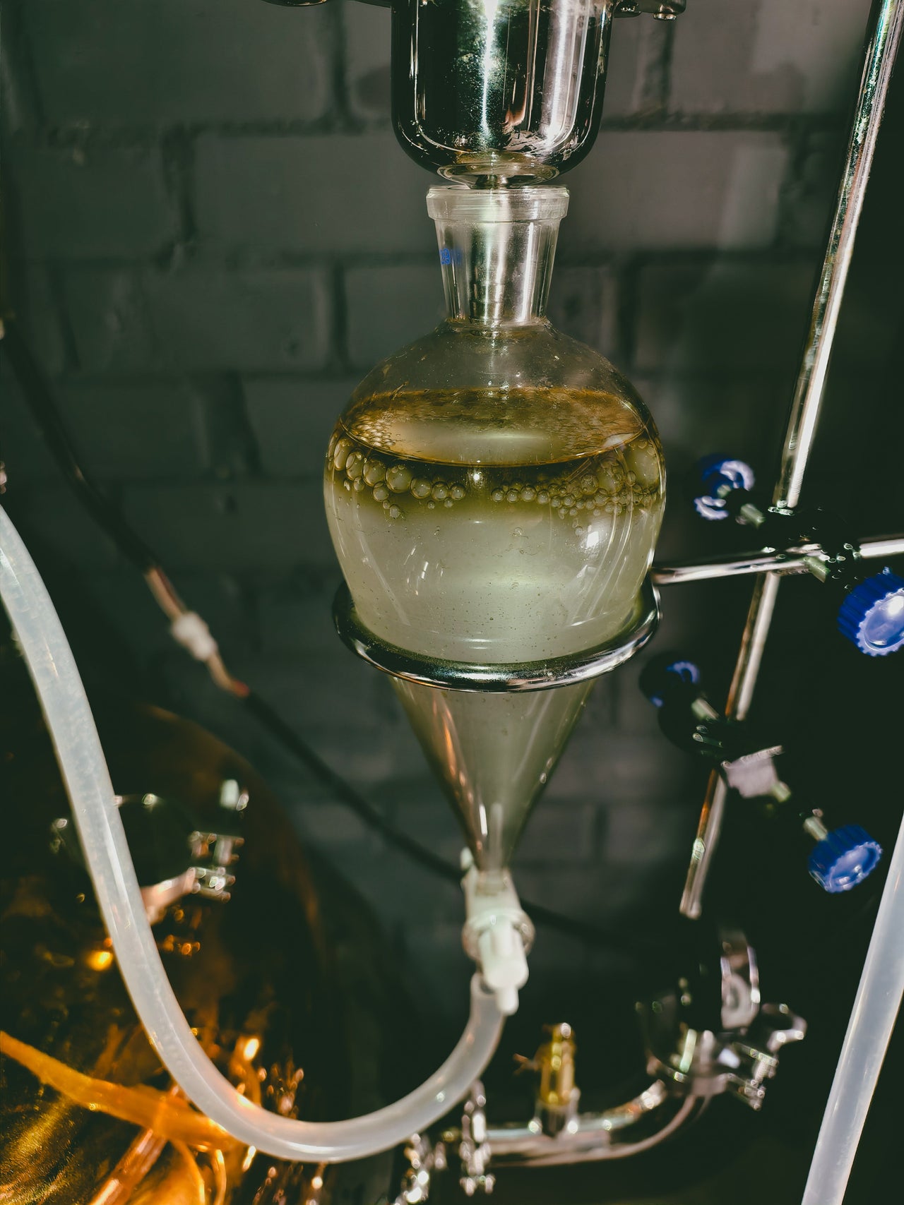 Gentei - Limited Collection