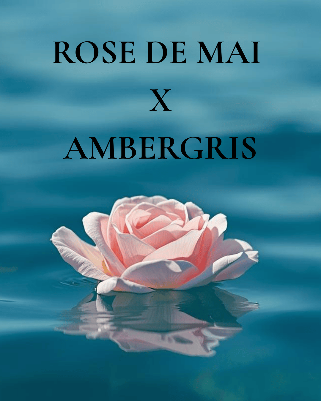 Rose de Mai X Ambergris