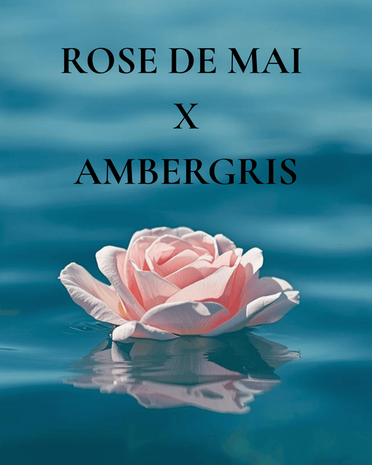 Rose de Mai X Ambergris