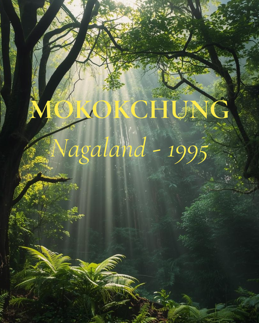 Mokokchung - Naga