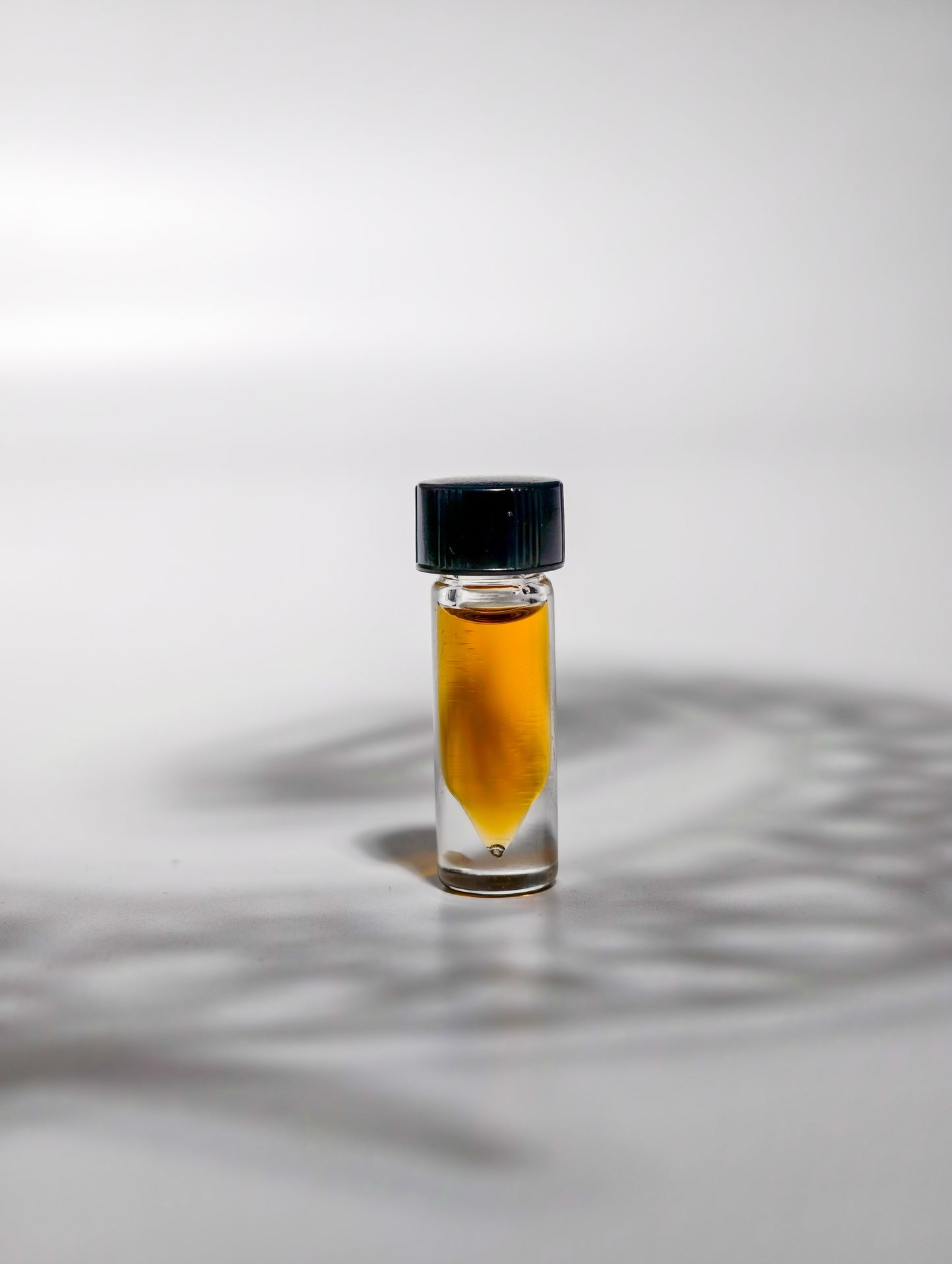 Seiron K - Sri Lanka